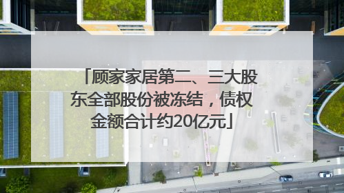 顾家家居第二、三大股东全部股份被冻结，债权金额合计约20亿元
