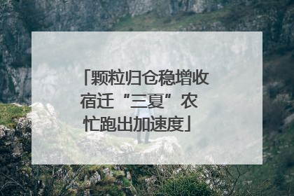 颗粒归仓稳增收 宿迁“三夏”农忙跑出加速度