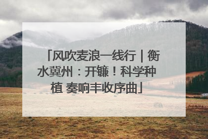 风吹麦浪一线行｜衡水冀州：开镰！科学种植 奏响丰收序曲