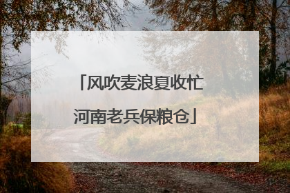 风吹麦浪夏收忙 河南老兵保粮仓