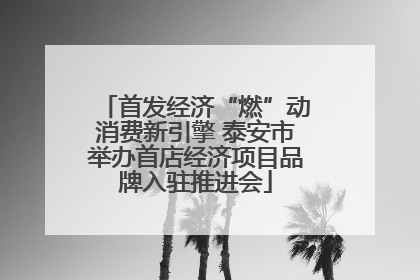 首发经济“燃”动消费新引擎 泰安市举办首店经济项目品牌入驻推进会