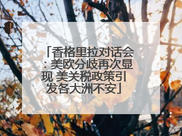 香格里拉对话会：美欧分歧再次显现 美关税政策引发各大洲不安