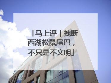 马上评｜拽断西湖松鼠尾巴，不只是不文明