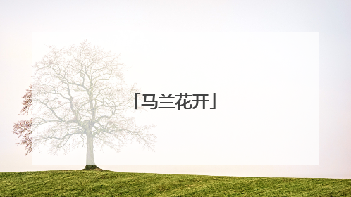 马兰花开
