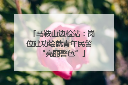 马鞍山边检站：岗位建功绘就青年民警“亮丽警色”