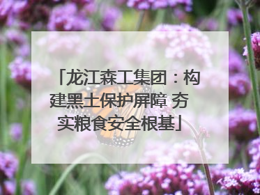 龙江森工集团：构建黑土保护屏障 夯实粮食安全根基