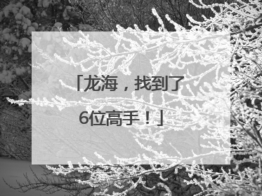 龙海，找到了6位高手！