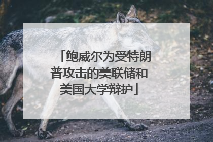 鲍威尔为受特朗普攻击的美联储和美国大学辩护