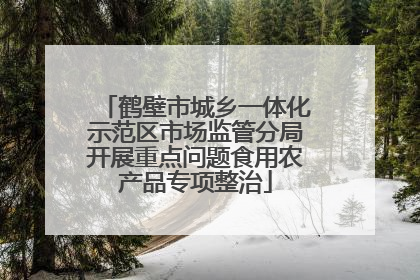 鹤壁市城乡一体化示范区市场监管分局开展重点问题食用农产品专项整治