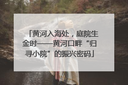 黄河入海处，庭院生金时——黄河口畔“归寻小院”的振兴密码