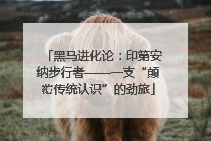黑马进化论：印第安纳步行者——一支“颠覆传统认识”的劲旅