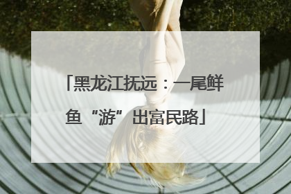 黑龙江抚远：一尾鲜鱼“游”出富民路