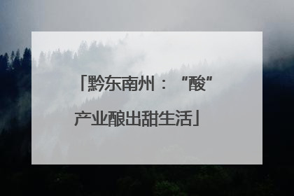 黔东南州：“酸”产业酿出甜生活