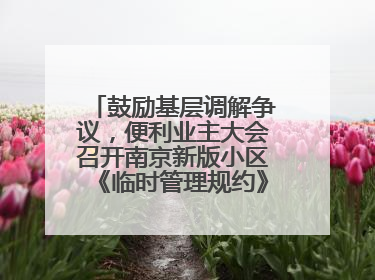 鼓励基层调解争议，便利业主大会召开南京新版小区《临时管理规约》征求意见