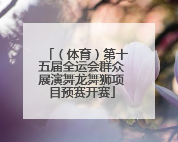（体育）第十五届全运会群众展演舞龙舞狮项目预赛开赛