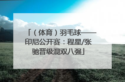 （体育）羽毛球——印尼公开赛：程星/张驰晋级混双八强