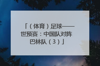 （体育）足球——世预赛：中国队对阵巴林队（3）