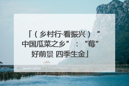 （乡村行·看振兴）“中国瓜菜之乡”：“莓”好前景 四季生金