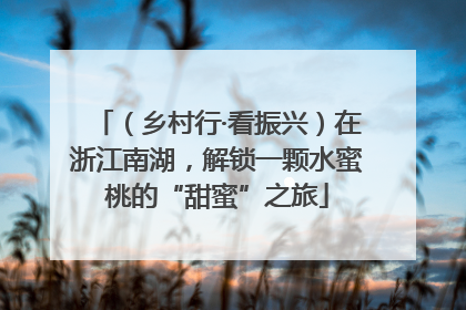 （乡村行·看振兴）在浙江南湖，解锁一颗水蜜桃的“甜蜜”之旅