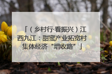 （乡村行·看振兴）江西九江：甜蜜产业拓宽村集体经济“增收路”