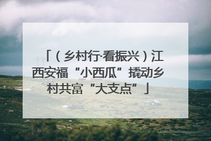 （乡村行·看振兴）江西安福“小西瓜”撬动乡村共富“大支点”