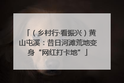 （乡村行·看振兴）黄山屯溪：昔日河滩荒地变身“网红打卡地”