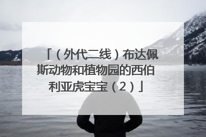 （外代二线）布达佩斯动物和植物园的西伯利亚虎宝宝（2）