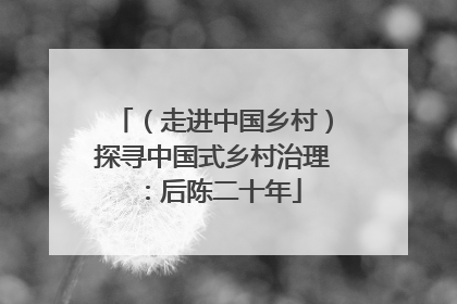 （走进中国乡村）探寻中国式乡村治理：后陈二十年