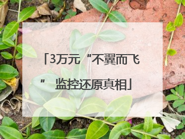 3万元“不翼而飞” 监控还原真相