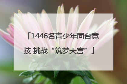1446名青少年同台竞技 挑战“筑梦天宫”
