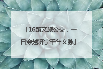16路文旅公交，一日穿越济宁千年文脉