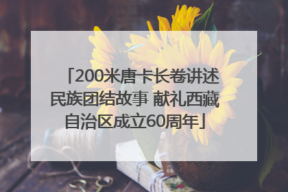 200米唐卡长卷讲述民族团结故事 献礼西藏自治区成立60周年