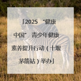 2025 “健康中国” 青少年健康素养提升行动（十堰茅箭站）举办