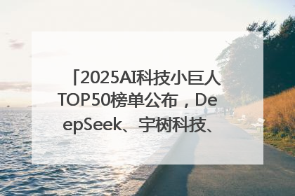 2025AI科技小巨人TOP50榜单公布，DeepSeek、宇树科技、蘑菇车联等企业荣誉上榜