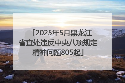 2025年5月黑龙江省查处违反中央八项规定精神问题805起