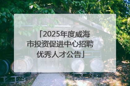 2025年度威海市投资促进中心招聘优秀人才公告