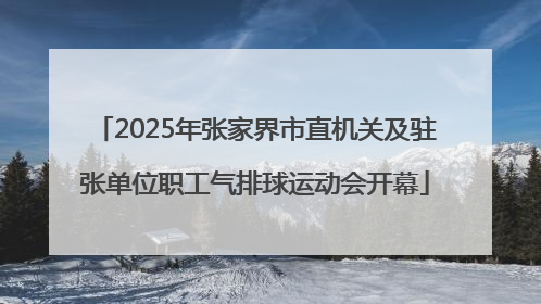 2025年张家界市直机关及驻张单位职工气排球运动会开幕