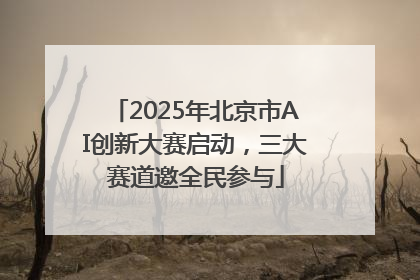2025年北京市AI创新大赛启动，三大赛道邀全民参与