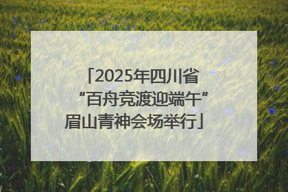 2025年四川省“百舟竞渡迎端午”眉山青神会场举行