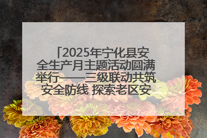2025年宁化县安全生产月主题活动圆满举行——三级联动共筑安全防线 探索老区安全发展新路径