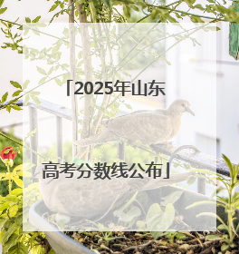 2025年山东高考分数线公布