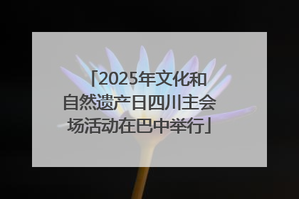 2025年文化和自然遗产日四川主会场活动在巴中举行