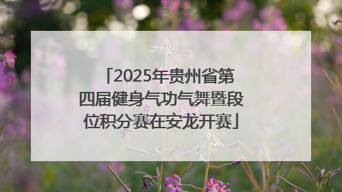 2025年贵州省第四届健身气功气舞暨段位积分赛在安龙开赛