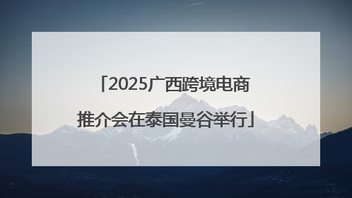 2025广西跨境电商推介会在泰国曼谷举行