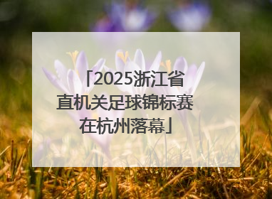 2025浙江省直机关足球锦标赛在杭州落幕