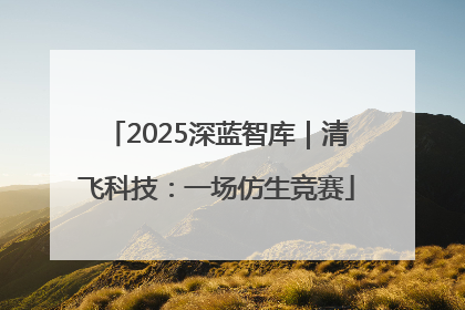 2025深蓝智库｜清飞科技：一场仿生竞赛