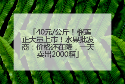 40元/公斤！榴莲正大量上市！水果批发商：价格还在降，一天卖出2000箱