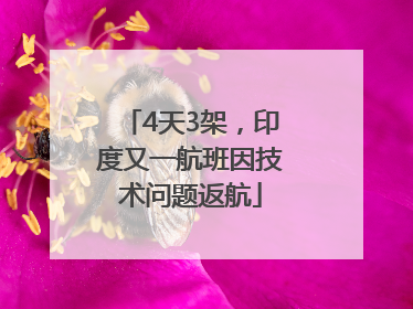 4天3架，印度又一航班因技术问题返航