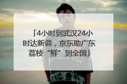 4小时到武汉24小时达新疆，京东助广东荔枝“鲜”到全国