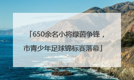 650余名小将绿茵争锋，市青少年足球锦标赛落幕